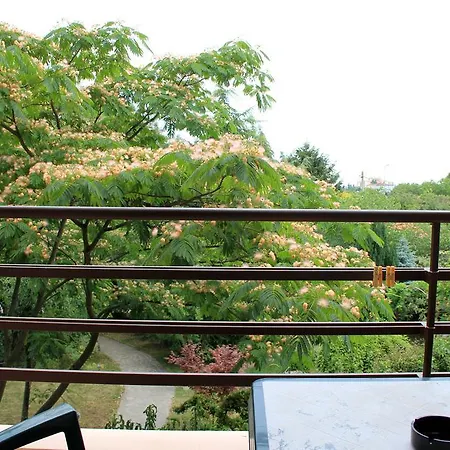 Diva Guest house 3*